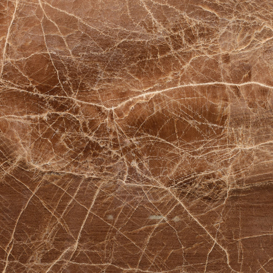 Close-up of brown Mable with visible grain and veins