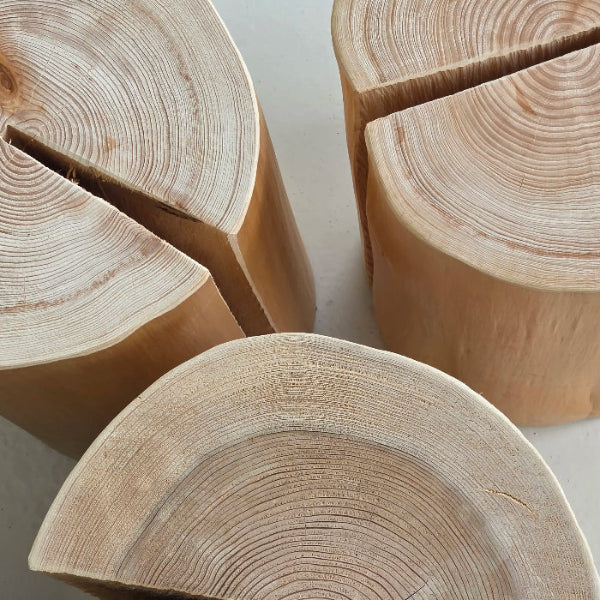 Solid cedar logs with cut ends on a white background
