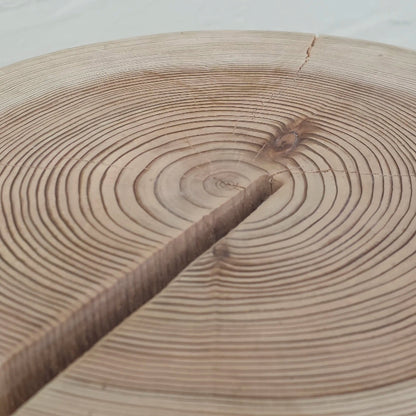 Close-up of a cedar stump with visible growth rings on a white background